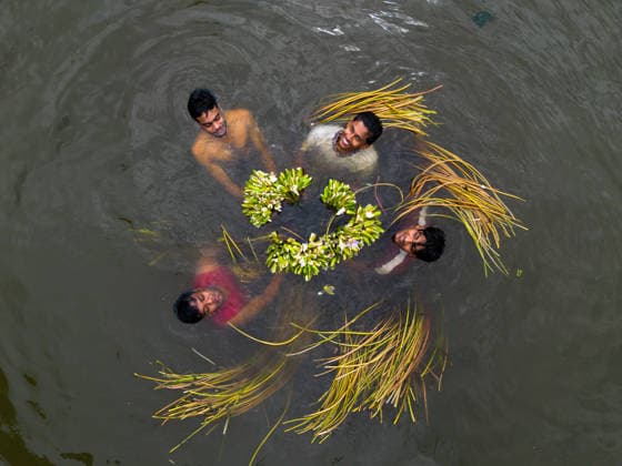 News Bilder des Tages #2 August 10, 2026, Munshiganj, Bangladesh: Aerial view of young boys harvesting water lilies in a wetland in Munshiganj, Bangladesh. They start working very early in the morning and work till afternoon. The national flower of Bangladesh, the water lily, blooms only at a specific time during the monsoon season from July to November. Munshiganj Bangladesh - ZUMAs231 20260810_zip_s231_007 Copyright: xJoyxSahax