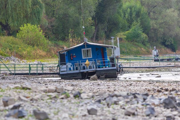News Bilder des Tages #2 Niedrigwasser am Rhein: Boote und Stege bei Bornheim-Hersel auf Grund Niedrigwasser am Rhein: Bei einem Pegelstand von 74 cm am Pegel Bonn liegt der Rheinarm zwischen Bornheim-Hersel und dem Naturschutzgebiet Herseler Werth größtenteils trocken. Boote und Stege liegen auf dem ausgetrockneten Flussbett auf Grund. Am Rhein werden derzeit historische Tiefstwerte gemessen. Bornheim Hersel Nordrhein-Westfalen Deutschland *** Low Water on the Rhine: Boats and Docks Stranded Near Bornheim Hersel Low Water on the Rhine With the water level at the Bonn gauge standing at 74 cm, the branch of the Rhine between Bornheim Hersel and the Herseler Werth Nature Reserve is largely dry; boats and docks are stranded on the dried-up riverbed. Historic low wat Copyright: xMarcxJohnx