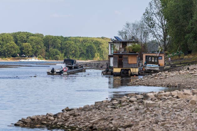 Niedrigwasser am Rhein: Boote und Stege bei Bornheim-Hersel auf Grund Niedrigwasser am Rhein: Bei einem Pegelstand von 74 cm am Pegel Bonn liegt der Rheinarm zwischen Bornheim-Hersel und dem Naturschutzgebiet Herseler Werth größtenteils trocken. Boote und Stege liegen auf dem ausgetrockneten Flussbett auf Grund. Am Rhein werden derzeit historische Tiefstwerte gemessen. Bornheim Hersel Nordrhein-Westfalen Deutschland *** Low Water on the Rhine: Boats and Docks Stranded Near Bornheim Hersel Low Water on the Rhine With the water level at the Bonn gauge standing at 74 cm, the branch of the Rhine between Bornheim Hersel and the Herseler Werth Nature Reserve is largely dry; boats and docks are stranded on the dried-up riverbed. Historic low wat Copyright: xMarcxJohnx