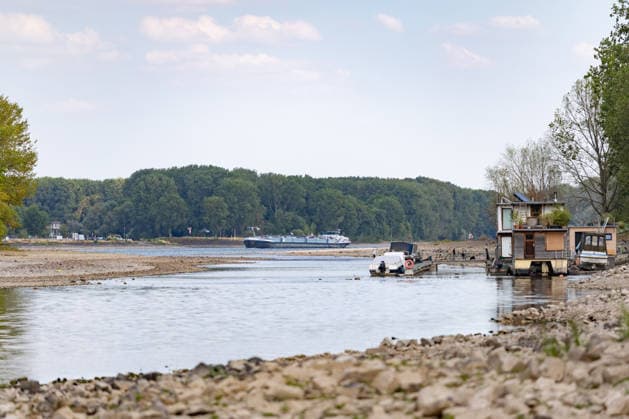 Niedrigwasser am Rhein: Boote und Stege bei Bornheim-Hersel auf Grund Niedrigwasser am Rhein: Bei einem Pegelstand von 74 cm am Pegel Bonn liegt der Rheinarm zwischen Bornheim-Hersel und dem Naturschutzgebiet Herseler Werth größtenteils trocken. Boote und Stege liegen auf dem ausgetrockneten Flussbett auf Grund. Am Rhein werden derzeit historische Tiefstwerte gemessen. Bornheim Hersel Nordrhein-Westfalen Deutschland *** Low Water on the Rhine: Boats and Docks Stranded Near Bornheim Hersel Low Water on the Rhine With the water level at the Bonn gauge standing at 74 cm, the branch of the Rhine between Bornheim Hersel and the Herseler Werth Nature Reserve is largely dry; boats and docks are stranded on the dried-up riverbed. Historic low wat Copyright: xMarcxJohnx