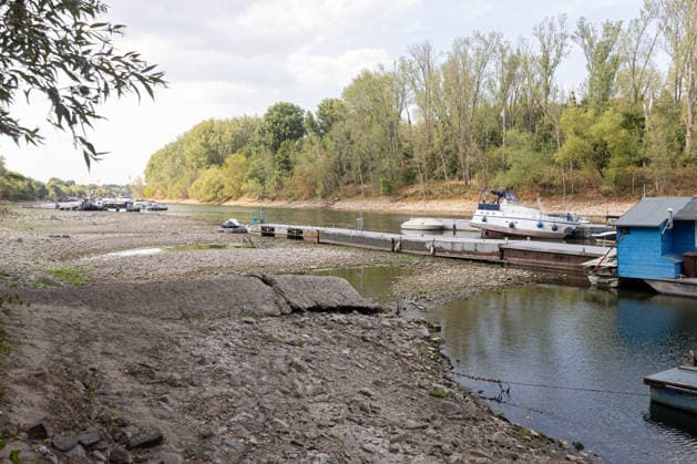 Niedrigwasser am Rhein: Boote und Stege bei Bornheim-Hersel auf Grund Niedrigwasser am Rhein: Bei einem Pegelstand von 74 cm am Pegel Bonn liegt der Rheinarm zwischen Bornheim-Hersel und dem Naturschutzgebiet Herseler Werth größtenteils trocken. Boote und Stege liegen auf dem ausgetrockneten Flussbett auf Grund. Am Rhein werden derzeit historische Tiefstwerte gemessen. Bornheim Hersel Nordrhein-Westfalen Deutschland *** Low Water on the Rhine: Boats and Docks Stranded Near Bornheim Hersel Low Water on the Rhine With the water level at the Bonn gauge standing at 74 cm, the branch of the Rhine between Bornheim Hersel and the Herseler Werth Nature Reserve is largely dry; boats and docks are stranded on the dried-up riverbed. Historic low wat Copyright: xMarcxJohnx