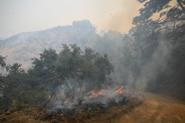 California s Timber Fire of wildfire in Big Sur grows BIG SUR, CALIFORNIA - AUG 10: A view of flames and smoke as Timber Fire of wildfire continues in Big Sur of California, United States on August 10, 2026. Tayfun Coskun Anadolu California United States. Editorial use only. Please get in touch for any other usage.  Copyright: x2026xAnadoluxTayfunxCoskunx