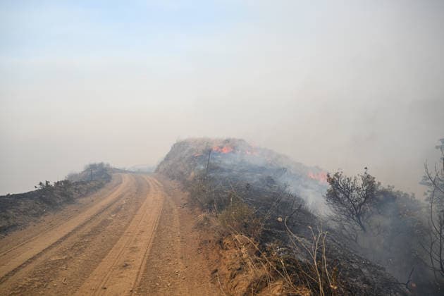California s Timber Fire of wildfire in Big Sur grows BIG SUR, CALIFORNIA - AUG 10: A view of flames and smoke as Timber Fire of wildfire continues in Big Sur of California, United States on August 10, 2026. Tayfun Coskun Anadolu California United States. Editorial use only. Please get in touch for any other usage.  Copyright: x2026xAnadoluxTayfunxCoskunx