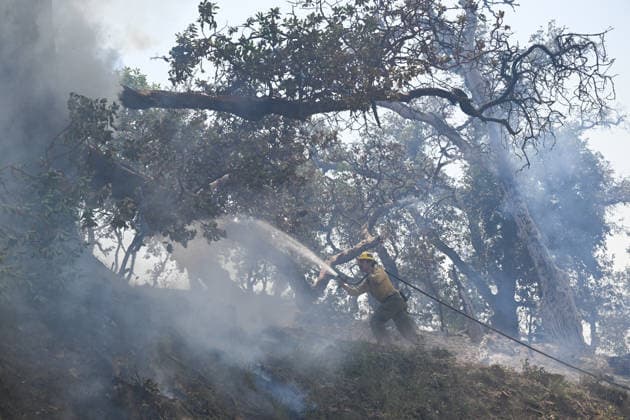 California s Timber Fire of wildfire in Big Sur grows BIG SUR, CALIFORNIA - AUG 10: A firefighter battles with flames as Timber Fire of wildfire continues in Big Sur of California, United States on August 10, 2026. Tayfun Coskun Anadolu California United States. Editorial use only. Please get in touch for any other usage.  Copyright: x2026xAnadoluxTayfunxCoskunx