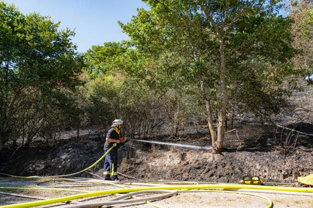 Feuer in Wald und in Wohngebiet fordert weit über 300 Einsatzkräfte Am 10.08.2026 brach gegen 13:15 Uhr zwischen Bad Schwalbach-Adolfseck und Hohenstein-Breithardt ein Waldbrand aus, der sich rasch auf über 8000 Quadratmeter ausbreitete. Rund 300 Feuerwehrkräfte sowie Kräfte von HessenForst bekämpften den Brand, für die Wasserversorgung wurde die B54 gesperrt. Gegen 14:15 Uhr griff parallel in Bad Schwalbach ein Feuer an einem Hang auf einen Anbau mit Garage über. Bei den beiden Einsätzen wurden insgesamt neun Personen leicht verletzt, zwei Einsatzkräfte mussten wegen Rauchgasinhalation ins Krankenhaus gebracht werden. Laut Kreisbrandmeister Michael Ehresmann besteht der Verdacht auf fahrlässige oder vorsätzliche Brandstiftung,