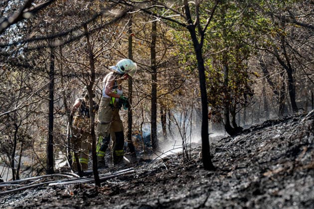 Feuer in Wald und in Wohngebiet fordert weit über 300 Einsatzkräfte Am 10.08.2026 brach gegen 13:15 Uhr zwischen Bad Schwalbach-Adolfseck und Hohenstein-Breithardt ein Waldbrand aus, der sich rasch auf über 8000 Quadratmeter ausbreitete. Rund 300 Feuerwehrkräfte sowie Kräfte von HessenForst bekämpften den Brand, für die Wasserversorgung wurde die B54 gesperrt. Gegen 14:15 Uhr griff parallel in Bad Schwalbach ein Feuer an einem Hang auf einen Anbau mit Garage über. Bei den beiden Einsätzen wurden insgesamt neun Personen leicht verletzt, zwei Einsatzkräfte mussten wegen Rauchgasinhalation ins Krankenhaus gebracht werden. Laut Kreisbrandmeister Michael Ehresmann besteht der Verdacht auf fahrlässige oder vorsätzliche Brandstiftung,