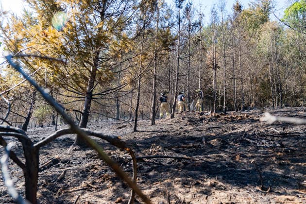 Feuer in Wald und in Wohngebiet fordert weit über 300 Einsatzkräfte Am 10.08.2026 brach gegen 13:15 Uhr zwischen Bad Schwalbach-Adolfseck und Hohenstein-Breithardt ein Waldbrand aus, der sich rasch auf über 8000 Quadratmeter ausbreitete. Rund 300 Feuerwehrkräfte sowie Kräfte von HessenForst bekämpften den Brand, für die Wasserversorgung wurde die B54 gesperrt. Gegen 14:15 Uhr griff parallel in Bad Schwalbach ein Feuer an einem Hang auf einen Anbau mit Garage über. Bei den beiden Einsätzen wurden insgesamt neun Personen leicht verletzt, zwei Einsatzkräfte mussten wegen Rauchgasinhalation ins Krankenhaus gebracht werden. Laut Kreisbrandmeister Michael Ehresmann besteht der Verdacht auf fahrlässige oder vorsätzliche Brandstiftung,