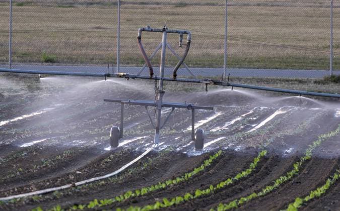 Fildern, Baden-Württemberg, Deutschland – Mobile Beregnungsanlage bewässert Gemüsefelder in den Abendstunden. Wegen der anhaltenden Sommerhitze und Trockenheit setzen Landwirte auf den Fildern großflächig künstliche Bewässerung ein, um den Wasserverlust durch Verdunstung zu reduzieren und die Kulturen zu schützen Fildern, Baden-Württemberg, Germany — Mobile irrigation system irrigates vegetable fields in the evenings. Due to the prolonged summer heat and drought, farmers are using artificial irrigation on a large scale on the Filders to reduce water loss due to evaporation and to protect crops Copyright: imageBROKER DanielxKessler ibldlk18723733.jpg