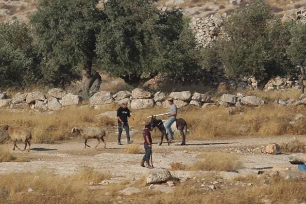 Israeli Settlers Attack Bedouin Community Near Taybeh TAYBEH, PALESTINE AUGUST 10, 2026: Israeli settlers attacked the Naif al-Kaabneh Bedouin community in the village of Taybeh. The community has been subjected to repeated attacks in recent months. About a month earlier, areas near the village cemetery and the ancient Church of St. George, also known as Al-Khader, were set on fire. The church, dating back to the fifth century AD, is one of the oldest Christian religious sites in Palestine. Taybeh is one of the few remaining Palestinian Christian villages in the occupied West Bank. The latest attack is part of a series of incidents affecting Palestinian communities in and around the village. Ramallah Palestine, State of Copyright: x xSalmanxMohsenxAlkhatibx xJNAxPressx