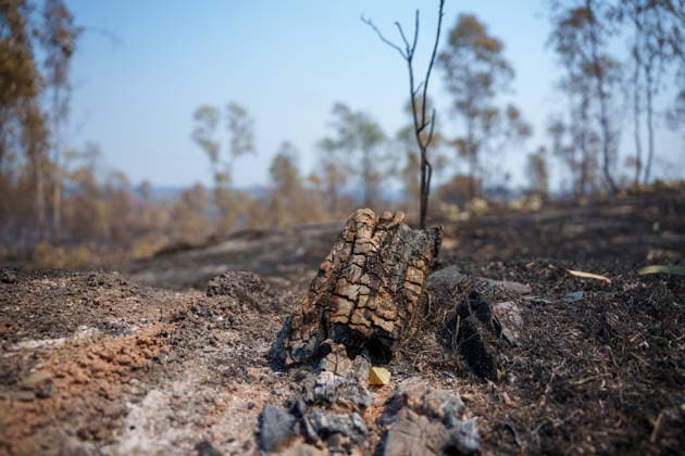 More than 500 personnel fighting the wildfire in Niebla, Huelva Area affected by the wildfire in Niebla, Huelva, which has been burning for five days As of August 11, 2026, in Niebla, Huelva, Andalusia, Spain More than 500 personnel from the Military Emergency Unit (UME) and the Civil Guard are now participating in efforts to extinguish the forest fire in Niebla, Huelva, following a further expansion of the human and material resources allocated to this operation. In addition, the UME has added four new bulldozers that will be deployed throughout Tuesday, primarily in the rear area. AUGUST 11, 2026 Francisco J. Niebla, Huelva, Andalusia, Spain Niebla, Huelva, Andalusia, Spain Spain  Copyright: xFranciscoxJ.xOlmox 7709764