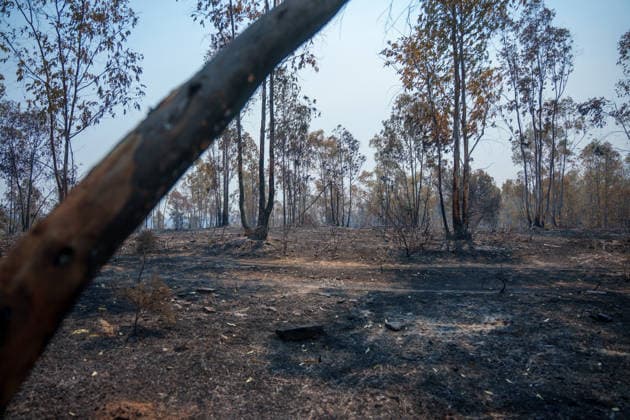 More than 500 personnel fighting the wildfire in Niebla, Huelva Area affected by the wildfire in Niebla, Huelva, which has been burning for five days As of August 11, 2026, in Niebla, Huelva, Andalusia, Spain More than 500 personnel from the Military Emergency Unit (UME) and the Civil Guard are now participating in efforts to extinguish the forest fire in Niebla, Huelva, following a further expansion of the human and material resources allocated to this operation. In addition, the UME has added four new bulldozers that will be deployed throughout Tuesday, primarily in the rear area. AUGUST 11, 2026 Francisco J. Niebla, Huelva, Andalusia, Spain Niebla, Huelva, Andalusia, Spain Spain  Copyright: xFranciscoxJ.xOlmox 7709766