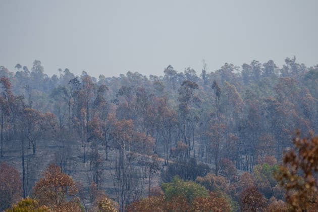 More than 500 personnel fighting the wildfire in Niebla, Huelva Area affected by the wildfire in Niebla, Huelva, which has been burning for five days As of August 11, 2026, in Niebla, Huelva, Andalusia, Spain More than 500 personnel from the Military Emergency Unit (UME) and the Civil Guard are now participating in efforts to extinguish the forest fire in Niebla, Huelva, following a further expansion of the human and material resources allocated to this operation. In addition, the UME has added four new bulldozers that will be deployed throughout Tuesday, primarily in the rear area. AUGUST 11, 2026 Francisco J. Niebla, Huelva, Andalusia, Spain Niebla, Huelva, Andalusia, Spain Spain  Copyright: xFranciscoxJ.xOlmox 7709768