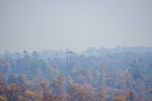 More than 500 personnel fighting the wildfire in Niebla, Huelva Area affected by the wildfire in Niebla, Huelva, which has been burning for five days As of August 11, 2026, in Niebla, Huelva, Andalusia, Spain More than 500 personnel from the Military Emergency Unit (UME) and the Civil Guard are now participating in efforts to extinguish the forest fire in Niebla, Huelva, following a further expansion of the human and material resources allocated to this operation. In addition, the UME has added four new bulldozers that will be deployed throughout Tuesday, primarily in the rear area. AUGUST 11, 2026 Francisco J. Niebla, Huelva, Andalusia, Spain Niebla, Huelva, Andalusia, Spain Spain  Copyright: xFranciscoxJ.xOlmox 7709769