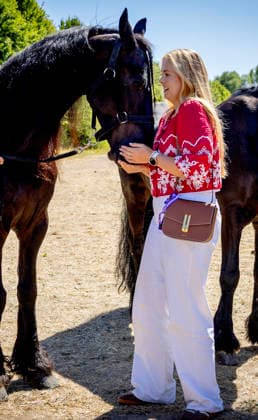 11-08-2026 Germany Princess Amalia attended the opening of the 2026 FEI World Championships in Aachen. The FEI World Championships is a global equestrian event where world titles are contested in dressage, eventing, driving, para-dressage, show jumping, and vaulting, held at Allianz Park. During the opening ceremony, the Royal Stables of Denmark, Great Britain, and the Netherlands presented themselves Â  Copyright: xPPEx