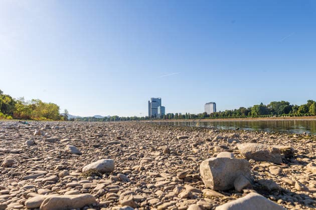 Historisches Niedrigwasser am Rhein in Bonn Bonn, 11.08.2026: Der Rhein führt aufgrund der anhaltenden Trockenheit und geringen Niederschläge deutlich weniger Wasser. Das freiliegende Ufer und Flussbett machen das außergewöhnliche Niedrigwasser sichtbar. Im Hintergrund ragen der Post Tower, der Lange Eugen auf dem UN-Campus sowie der Schürmann-Bau der Deutschen Welle aus der Bonner Skyline. Ebenfalls zu sehen ist das Radisson Blu Hotel Bonn am Platz der Vereinten Nationen. Der Rhein gehört zu den wichtigsten europäischen Wasserstraßen; die niedrigen Wasserstände beeinträchtigen insbesondere die Binnenschifffahrt, da Schiffe ihre Ladung reduzieren müssen. Bonn Beuel Nordrhein-Westfalen Deutschland *** Historically Low Water Levels