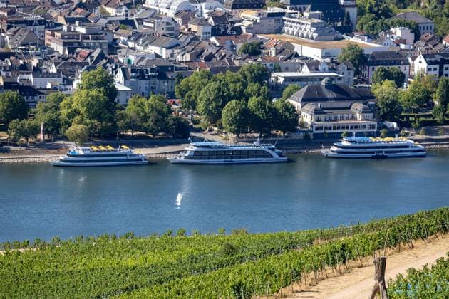 August 2026, Extremes Niedrigwasser am Mittelrhein***Fahrgastschiffe bei Bingen. Aufgrund des Niedrigwassers kommt es zu Einschränkungen *** August 2026, Extremely low water levels on the Middle Rhine***Passenger ships near Bingen: Restrictions are in effect due to the low water levels Copyright: xUdoxHerrmannx