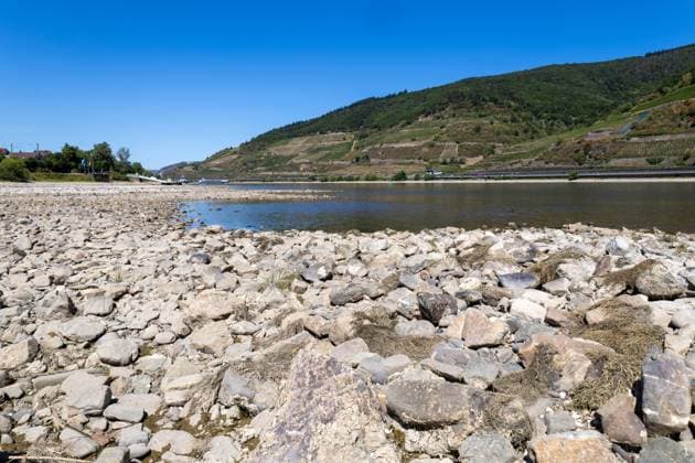 August 2026, Extremes Niedrigwasser am Mittelrhein***Der Rhein bei Trechtingshausen *** August 2026, Extremely Low Water Levels on the Middle Rhine***The Rhine near Trechtingshausen Copyright: xUdoxHerrmannx