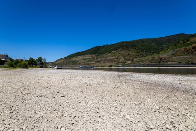 August 2026, Extremes Niedrigwasser am Mittelrhein***Der Rhein bei Trechtingshausen *** August 2026, Extremely Low Water Levels on the Middle Rhine***The Rhine near Trechtingshausen Copyright: xUdoxHerrmannx