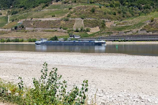 August 2026, Extremes Niedrigwasser am Mittelrhein***Der Rhein bei Trechtingshausen *** August 2026, Extremely Low Water Levels on the Middle Rhine***The Rhine near Trechtingshausen Copyright: xUdoxHerrmannx