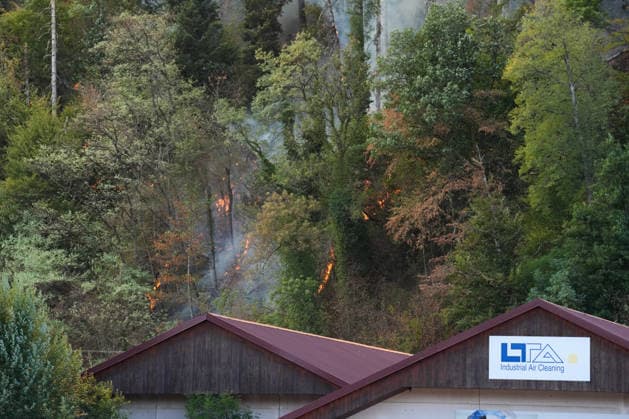 Waldbrand in Zell am Harmersbach, 11.08.2026 Waldbrand in Zell am Harmersbach, 11.08.2026 Zell am Harmersbach Baden-Württemberg Deutschland *** Forest Fire in Zell am Harmersbach, August 11, 2026 Forest Fire in Zell am Harmersbach, August 11, 2026 Zell am Harmersbach, Baden-Württemberg, Germany Copyright: xBEAUTIFULxSPORTS Boscox