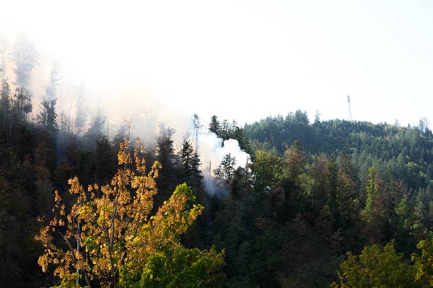 Waldbrand in Zell am Harmersbach, 11.08.2026 Waldbrand in Zell am Harmersbach, 11.08.2026 Zell am Harmersbach Baden-Württemberg Deutschland *** Forest Fire in Zell am Harmersbach, August 11, 2026 Forest Fire in Zell am Harmersbach, August 11, 2026 Zell am Harmersbach, Baden-Württemberg, Germany Copyright: xBEAUTIFULxSPORTS Boscox