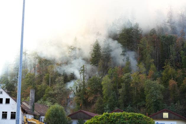 Waldbrand in Zell am Harmersbach, 11.08.2026 Waldbrand in Zell am Harmersbach, 11.08.2026 Zell am Harmersbach Baden-Württemberg Deutschland *** Forest Fire in Zell am Harmersbach, August 11, 2026 Forest Fire in Zell am Harmersbach, August 11, 2026 Zell am Harmersbach, Baden-Württemberg, Germany Copyright: xBEAUTIFULxSPORTS Boscox