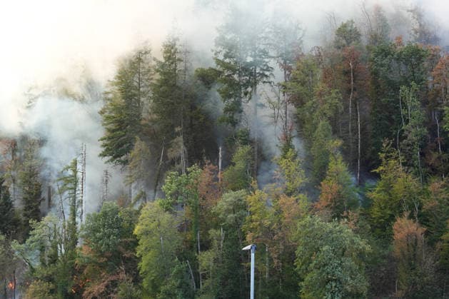 Waldbrand in Zell am Harmersbach, 11.08.2026 Waldbrand in Zell am Harmersbach, 11.08.2026 Zell am Harmersbach Baden-Württemberg Deutschland *** Forest Fire in Zell am Harmersbach, August 11, 2026 Forest Fire in Zell am Harmersbach, August 11, 2026 Zell am Harmersbach, Baden-Württemberg, Germany Copyright: xBEAUTIFULxSPORTS Boscox