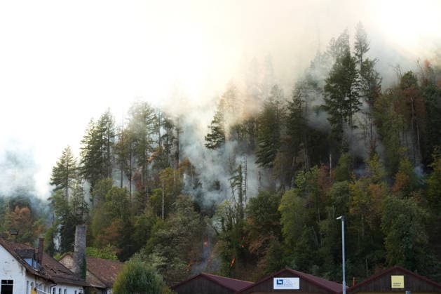 Waldbrand in Zell am Harmersbach, 11.08.2026 Waldbrand in Zell am Harmersbach, 11.08.2026 Zell am Harmersbach Baden-Württemberg Deutschland *** Forest Fire in Zell am Harmersbach, August 11, 2026 Forest Fire in Zell am Harmersbach, August 11, 2026 Zell am Harmersbach, Baden-Württemberg, Germany Copyright: xBEAUTIFULxSPORTS Boscox