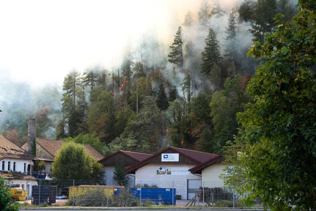 Waldbrand in Zell am Harmersbach, 11.08.2026 Waldbrand in Zell am Harmersbach, 11.08.2026 Zell am Harmersbach Baden-Württemberg Deutschland *** Forest Fire in Zell am Harmersbach, August 11, 2026 Forest Fire in Zell am Harmersbach, August 11, 2026 Zell am Harmersbach, Baden-Württemberg, Germany Copyright: xBEAUTIFULxSPORTS Boscox