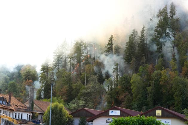 Waldbrand in Zell am Harmersbach, 11.08.2026 Waldbrand in Zell am Harmersbach, 11.08.2026 Zell am Harmersbach Baden-Württemberg Deutschland *** Forest Fire in Zell am Harmersbach, August 11, 2026 Forest Fire in Zell am Harmersbach, August 11, 2026 Zell am Harmersbach, Baden-Württemberg, Germany Copyright: xBEAUTIFULxSPORTS Boscox