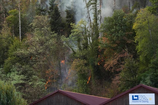 Waldbrand in Zell am Harmersbach, 11.08.2026 Waldbrand in Zell am Harmersbach, 11.08.2026 Zell am Harmersbach Baden-Württemberg Deutschland *** Forest Fire in Zell am Harmersbach, August 11, 2026 Forest Fire in Zell am Harmersbach, August 11, 2026 Zell am Harmersbach, Baden-Württemberg, Germany Copyright: xBEAUTIFULxSPORTS Boscox