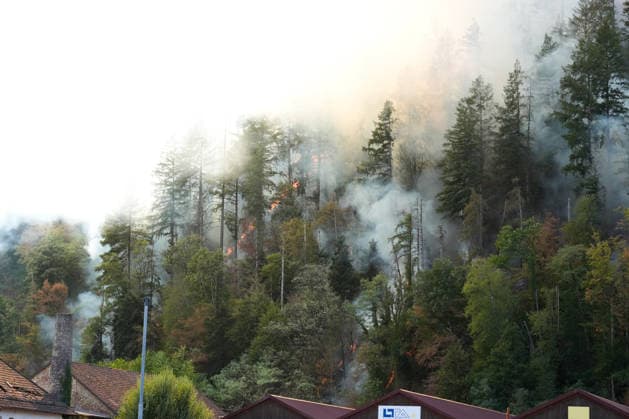Waldbrand in Zell am Harmersbach, 11.08.2026 Waldbrand in Zell am Harmersbach, 11.08.2026 Zell am Harmersbach Baden-Württemberg Deutschland *** Forest Fire in Zell am Harmersbach, August 11, 2026 Forest Fire in Zell am Harmersbach, August 11, 2026 Zell am Harmersbach, Baden-Württemberg, Germany Copyright: xBEAUTIFULxSPORTS Boscox