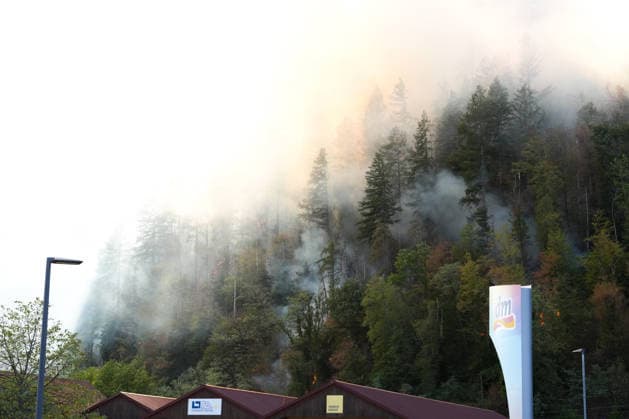 Waldbrand in Zell am Harmersbach, 11.08.2026 Waldbrand in Zell am Harmersbach, 11.08.2026 Zell am Harmersbach Baden-Württemberg Deutschland *** Forest Fire in Zell am Harmersbach, August 11, 2026 Forest Fire in Zell am Harmersbach, August 11, 2026 Zell am Harmersbach, Baden-Württemberg, Germany Copyright: xBEAUTIFULxSPORTS Boscox