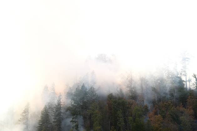 Waldbrand in Zell am Harmersbach, 11.08.2026 Waldbrand in Zell am Harmersbach, 11.08.2026 Zell am Harmersbach Baden-Württemberg Deutschland *** Forest Fire in Zell am Harmersbach, August 11, 2026 Forest Fire in Zell am Harmersbach, August 11, 2026 Zell am Harmersbach, Baden-Württemberg, Germany Copyright: xBEAUTIFULxSPORTS Boscox