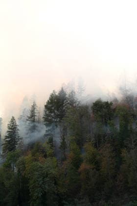 Waldbrand in Zell am Harmersbach, 11.08.2026 Waldbrand in Zell am Harmersbach, 11.08.2026 Zell am Harmersbach Baden-Württemberg Deutschland *** Forest Fire in Zell am Harmersbach, August 11, 2026 Forest Fire in Zell am Harmersbach, August 11, 2026 Zell am Harmersbach, Baden-Württemberg, Germany Copyright: xBEAUTIFULxSPORTS Boscox