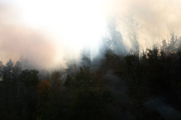 Waldbrand in Zell am Harmersbach, 11.08.2026 Waldbrand in Zell am Harmersbach, 11.08.2026 Zell am Harmersbach Baden-Württemberg Deutschland *** Forest Fire in Zell am Harmersbach, August 11, 2026 Forest Fire in Zell am Harmersbach, August 11, 2026 Zell am Harmersbach, Baden-Württemberg, Germany Copyright: xBEAUTIFULxSPORTS Boscox