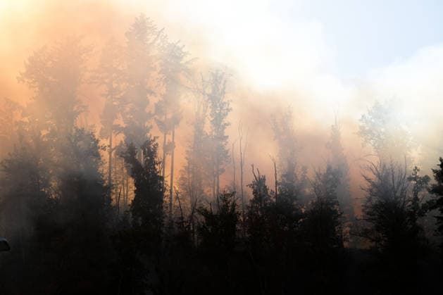 Waldbrand in Zell am Harmersbach, 11.08.2026 Waldbrand in Zell am Harmersbach, 11.08.2026 Zell am Harmersbach Baden-Württemberg Deutschland *** Forest Fire in Zell am Harmersbach, August 11, 2026 Forest Fire in Zell am Harmersbach, August 11, 2026 Zell am Harmersbach, Baden-Württemberg, Germany Copyright: xBEAUTIFULxSPORTS Boscox