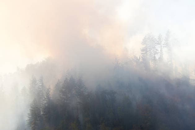 Waldbrand in Zell am Harmersbach, 11.08.2026 Waldbrand in Zell am Harmersbach, 11.08.2026 Zell am Harmersbach Baden-Württemberg Deutschland *** Forest Fire in Zell am Harmersbach, August 11, 2026 Forest Fire in Zell am Harmersbach, August 11, 2026 Zell am Harmersbach, Baden-Württemberg, Germany Copyright: xBEAUTIFULxSPORTS Boscox