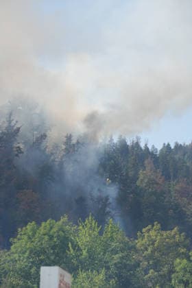 Waldbrand in Zell am Harmersbach, 11.08.2026 Waldbrand in Zell am Harmersbach, 11.08.2026 Zell am Harmersbach Baden-Württemberg Deutschland *** Forest Fire in Zell am Harmersbach, August 11, 2026 Forest Fire in Zell am Harmersbach, August 11, 2026 Zell am Harmersbach, Baden-Württemberg, Germany Copyright: xBEAUTIFULxSPORTS Boscox