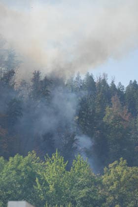 Waldbrand in Zell am Harmersbach, 11.08.2026 Waldbrand in Zell am Harmersbach, 11.08.2026 Zell am Harmersbach Baden-Württemberg Deutschland *** Forest Fire in Zell am Harmersbach, August 11, 2026 Forest Fire in Zell am Harmersbach, August 11, 2026 Zell am Harmersbach, Baden-Württemberg, Germany Copyright: xBEAUTIFULxSPORTS Boscox