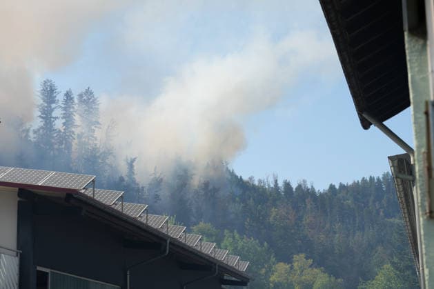 Waldbrand in Zell am Harmersbach, 11.08.2026 Waldbrand in Zell am Harmersbach, 11.08.2026 Zell am Harmersbach Baden-Württemberg Deutschland *** Forest Fire in Zell am Harmersbach, August 11, 2026 Forest Fire in Zell am Harmersbach, August 11, 2026 Zell am Harmersbach, Baden-Württemberg, Germany Copyright: xBEAUTIFULxSPORTS Boscox