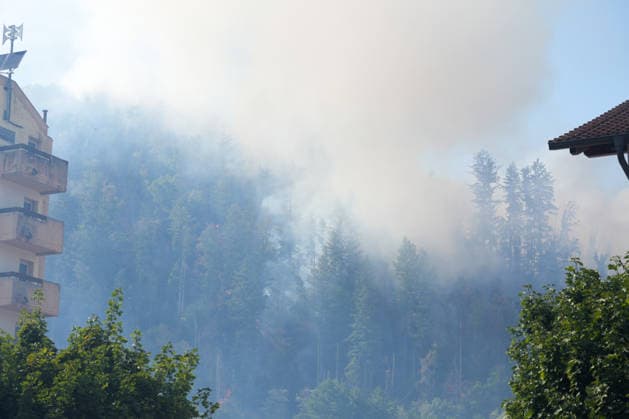 Waldbrand in Zell am Harmersbach, 11.08.2026 Waldbrand in Zell am Harmersbach, 11.08.2026 Zell am Harmersbach Baden-Württemberg Deutschland *** Forest Fire in Zell am Harmersbach, August 11, 2026 Forest Fire in Zell am Harmersbach, August 11, 2026 Zell am Harmersbach, Baden-Württemberg, Germany Copyright: xBEAUTIFULxSPORTS Boscox