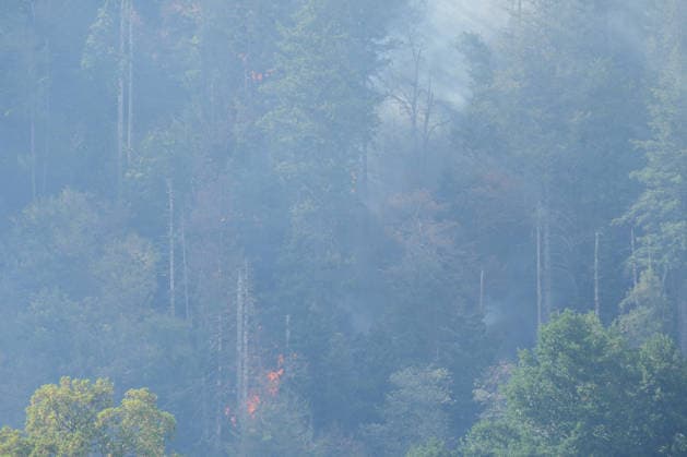 Waldbrand in Zell am Harmersbach, 11.08.2026 Waldbrand in Zell am Harmersbach, 11.08.2026 Zell am Harmersbach Baden-Württemberg Deutschland *** Forest Fire in Zell am Harmersbach, August 11, 2026 Forest Fire in Zell am Harmersbach, August 11, 2026 Zell am Harmersbach, Baden-Württemberg, Germany Copyright: xBEAUTIFULxSPORTS Boscox
