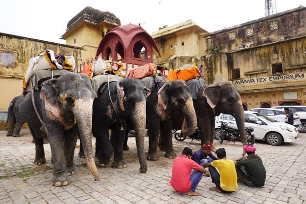 World Elephant Day - India Tourists ride an elephant at the historic Amer Fort ahead of World Elephant Day in Jaipur, Rajasthan, India on August 11, 2026. Photo by Himanshu Sharma ABACAPRESS.COM Jaipur Rajasthan India  Copyright: xHimanshuxSharma ABACAx