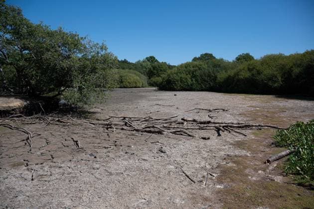 Prolonged heatwave and drought dry up historic Stew Pond at Epsom Common in Surrey EPSOM, UNITED KINGDOM - AUGUST 11: A veiw of the cracked, parched earth of Stew Pond exposed following an extended period of high temperatures and severe drought conditions at Epsom Common in Surrey, England, on August 11, 2026. The historic pond, a local nature reserve and habitat for diverse wildlife, has seen its water levels drop dramatically as persistent dry weather continues across southern Britain. Rasid Necati Aslim Anadolu Epsom United Kingdom. Editorial use only. Please get in touch for any other usage.  Copyright: x2026xAnadoluxRasidxNecatixAslimx