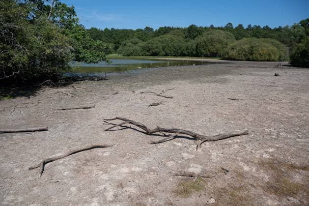 Prolonged heatwave and drought dry up historic Stew Pond at Epsom Common in Surrey EPSOM, UNITED KINGDOM - AUGUST 11: A veiw of the cracked, parched earth of Stew Pond exposed following an extended period of high temperatures and severe drought conditions at Epsom Common in Surrey, England, on August 11, 2026. The historic pond, a local nature reserve and habitat for diverse wildlife, has seen its water levels drop dramatically as persistent dry weather continues across southern Britain. Rasid Necati Aslim Anadolu Epsom United Kingdom. Editorial use only. Please get in touch for any other usage.  Copyright: x2026xAnadoluxRasidxNecatixAslimx