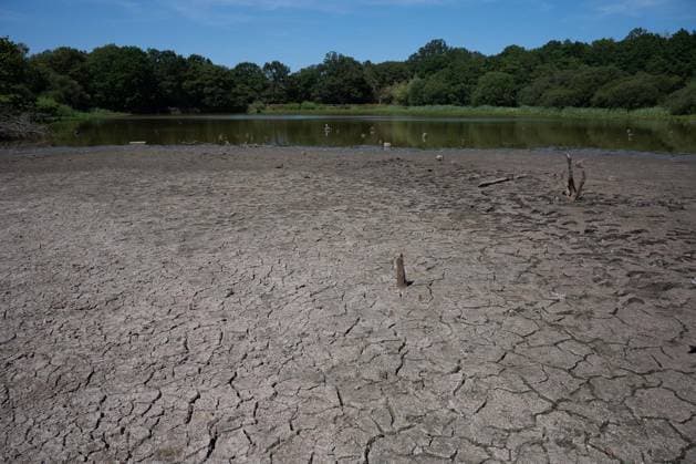 Prolonged heatwave and drought dry up historic Stew Pond at Epsom Common in Surrey EPSOM, UNITED KINGDOM - AUGUST 11: A veiw of the cracked, parched earth of Stew Pond exposed following an extended period of high temperatures and severe drought conditions at Epsom Common in Surrey, England, on August 11, 2026. The historic pond, a local nature reserve and habitat for diverse wildlife, has seen its water levels drop dramatically as persistent dry weather continues across southern Britain. Rasid Necati Aslim Anadolu Epsom United Kingdom. Editorial use only. Please get in touch for any other usage.  Copyright: x2026xAnadoluxRasidxNecatixAslimx