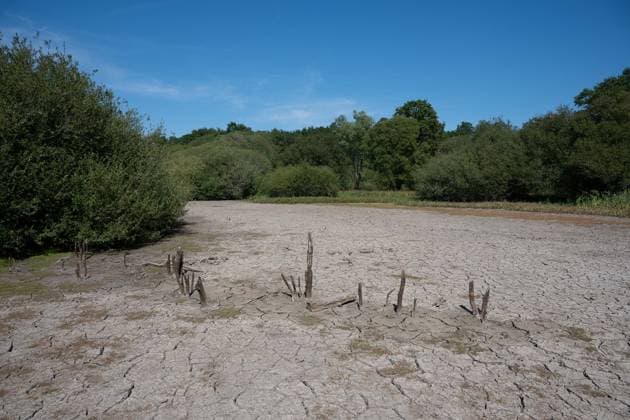 Prolonged heatwave and drought dry up historic Stew Pond at Epsom Common in Surrey EPSOM, UNITED KINGDOM - AUGUST 11: A veiw of the cracked, parched earth of Stew Pond exposed following an extended period of high temperatures and severe drought conditions at Epsom Common in Surrey, England, on August 11, 2026. The historic pond, a local nature reserve and habitat for diverse wildlife, has seen its water levels drop dramatically as persistent dry weather continues across southern Britain. Rasid Necati Aslim Anadolu Epsom United Kingdom. Editorial use only. Please get in touch for any other usage.  Copyright: x2026xAnadoluxRasidxNecatixAslimx