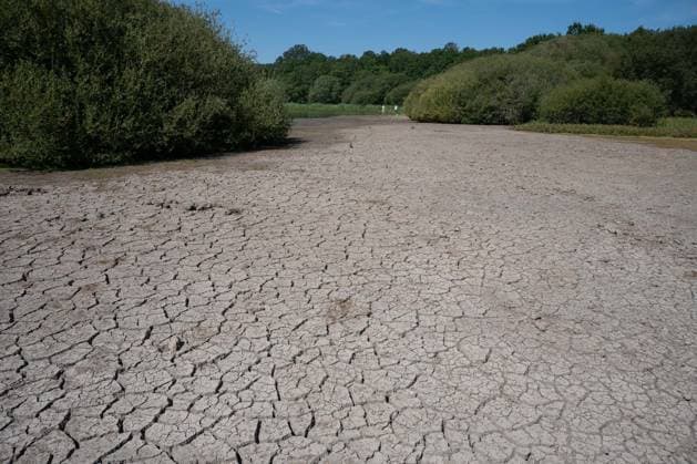 Prolonged heatwave and drought dry up historic Stew Pond at Epsom Common in Surrey EPSOM, UNITED KINGDOM - AUGUST 11: A veiw of the cracked, parched earth of Stew Pond exposed following an extended period of high temperatures and severe drought conditions at Epsom Common in Surrey, England, on August 11, 2026. The historic pond, a local nature reserve and habitat for diverse wildlife, has seen its water levels drop dramatically as persistent dry weather continues across southern Britain. Rasid Necati Aslim Anadolu Epsom United Kingdom. Editorial use only. Please get in touch for any other usage.  Copyright: x2026xAnadoluxRasidxNecatixAslimx
