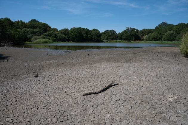 Prolonged heatwave and drought dry up historic Stew Pond at Epsom Common in Surrey EPSOM, UNITED KINGDOM - AUGUST 11: A veiw of the cracked, parched earth of Stew Pond exposed following an extended period of high temperatures and severe drought conditions at Epsom Common in Surrey, England, on August 11, 2026. The historic pond, a local nature reserve and habitat for diverse wildlife, has seen its water levels drop dramatically as persistent dry weather continues across southern Britain. Rasid Necati Aslim Anadolu Epsom United Kingdom. Editorial use only. Please get in touch for any other usage.  Copyright: x2026xAnadoluxRasidxNecatixAslimx